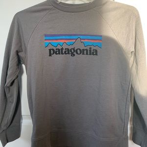 Patagonia Graphic Organic Crew Neck